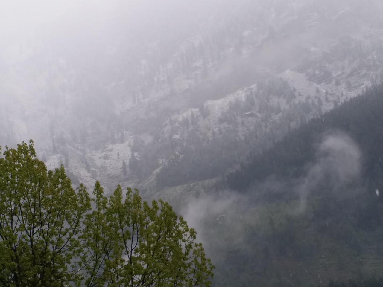Hotel Seven Hills Manali 외부 사진